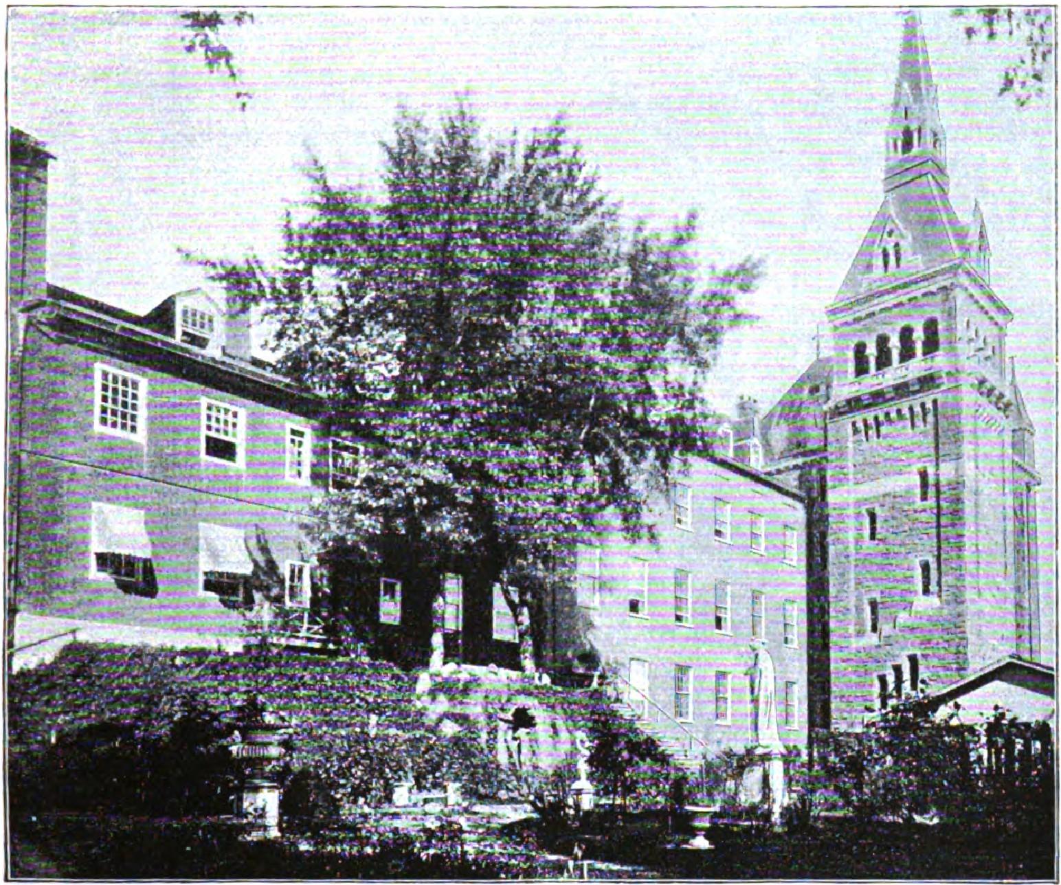 University courtyard with large tree and stone buildings in background